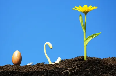 Illustration becoming - Image 1