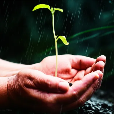 Illustration needed - Image 1