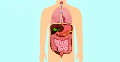 Illustration scope - Image 1
