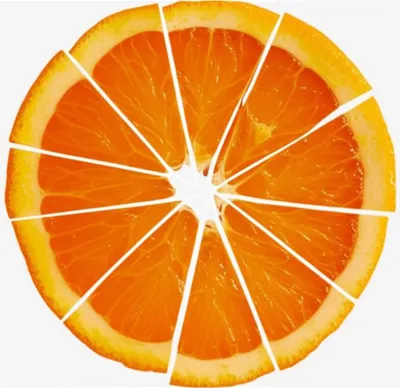 Illustration segmentation