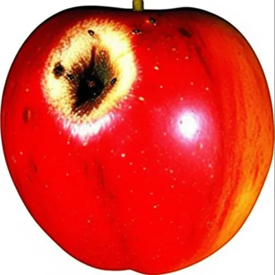 Illustration deteriorating