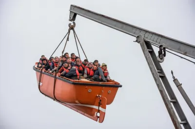 Illustration gripe - Image 1