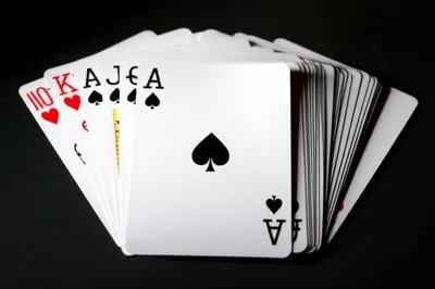 Illustration high - Image 1