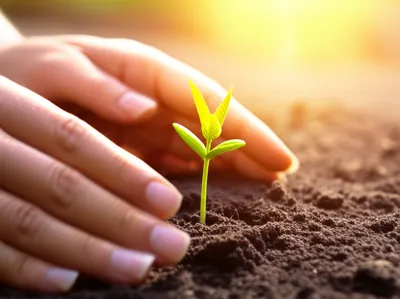 Illustration nourished - Image 1