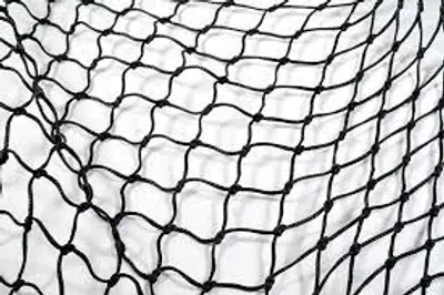 Illustration netting - Image 2