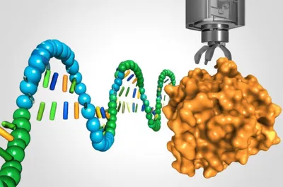 Illustration senses - Image 1