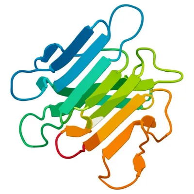 Illustration meander - Image 1