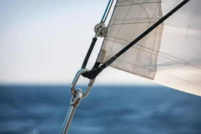 Illustration clew - Image 1