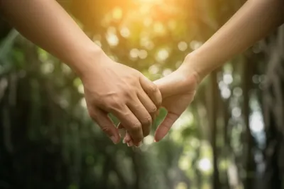 Illustration plighting - Image 1