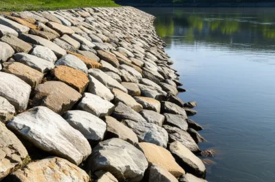 Illustration revet - Image 1