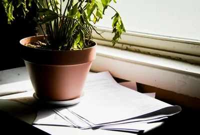 Illustration remiss - Image 1