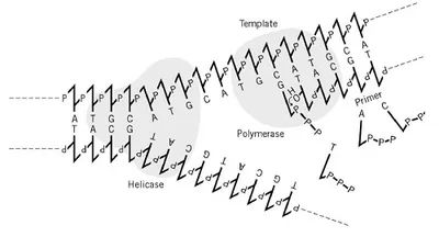 Illustration primer - Image 2
