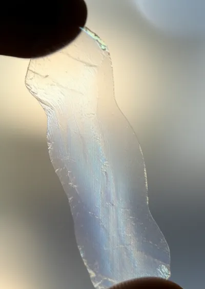 Illustration isinglass - Image 1