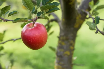 Illustration drop - Image 1