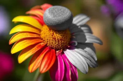 Illustration blunt - Image 1