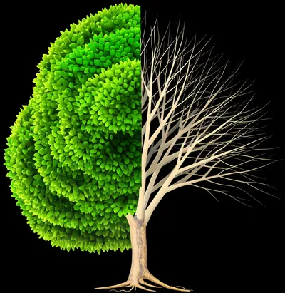 Illustration enervate - Image 1