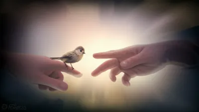 Illustration abusing - Image 1