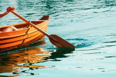 Illustration rowed - Image 1