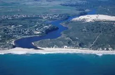 Illustration estuary - Image 2