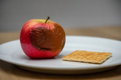 Illustration macerated - Image 1