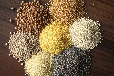 Illustration grain - Image 1