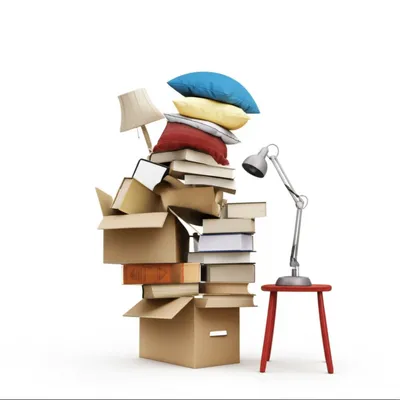 Illustration swear - Image 1