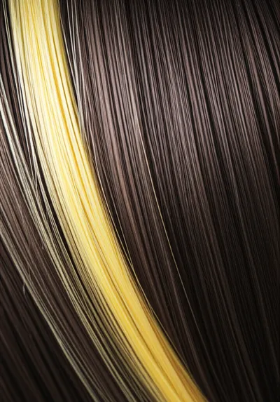 Illustration highlights - Image 2