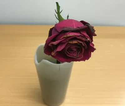 Illustration cheaply - Image 1