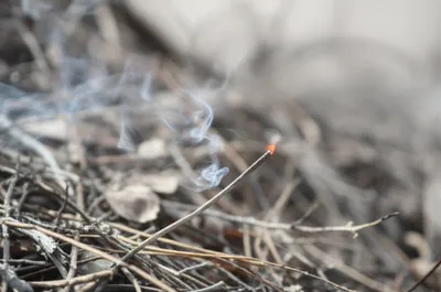 Illustration lighted - Image 1