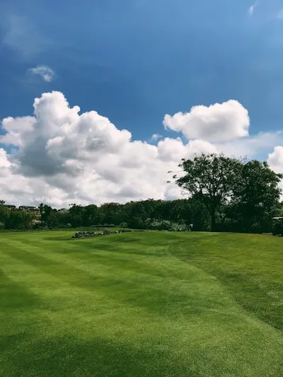 Illustration lawns - Image 2