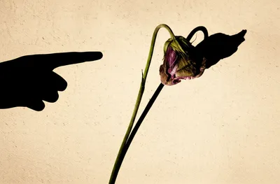 Illustration defamed - Image 1