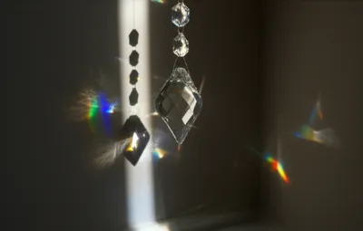 Illustration shone - Image 1