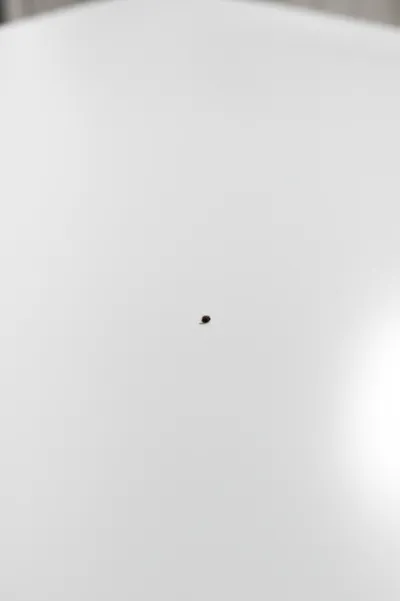 Illustration specks - Image 1