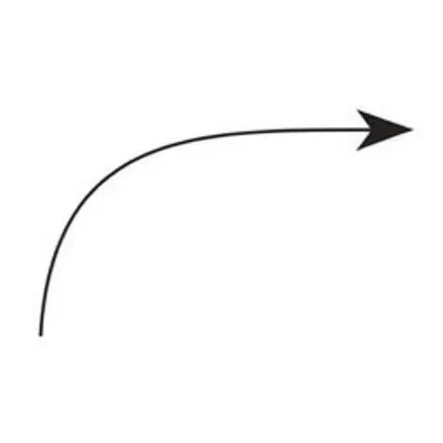 Illustration branch - Image 1