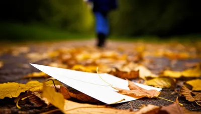 Illustration miscarry - Image 1