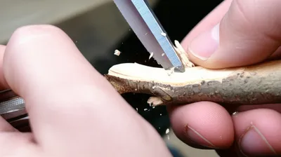 Illustration whittle - Image 1