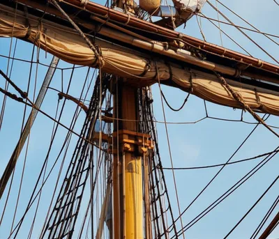 Illustration hound - Image 1