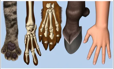 Illustration digits - Image 1