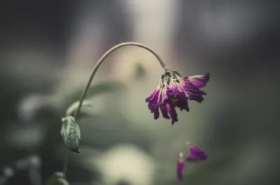 Illustration infirm - Image 1