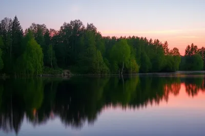 Illustration reflective - Image 1