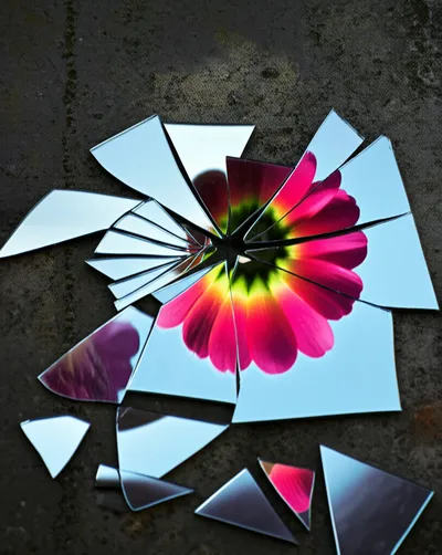 Illustration fragments - Image 2