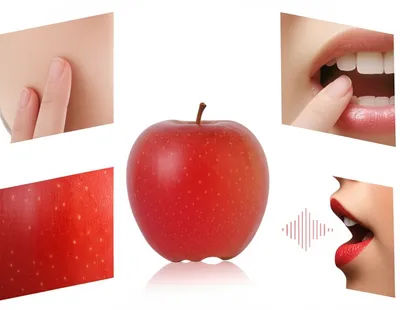 Illustration senses - Image 1