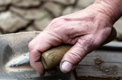 Illustration gnarled - Image 1