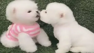 Illustration sweetly - Image 2