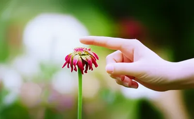 Illustration curative - Image 1