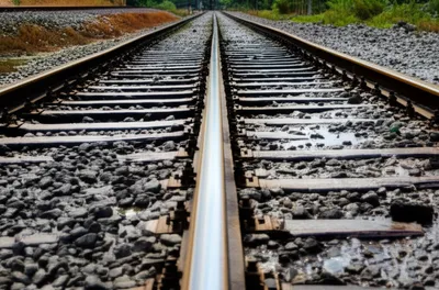 Illustration cess - Image 1