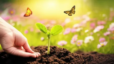 Illustration gracious - Image 1