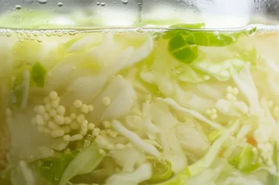 Illustration fermented - Image 1