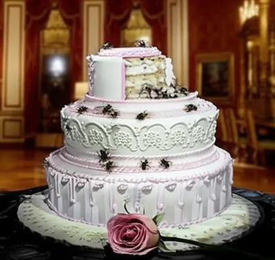 Illustration bitches - Image 1