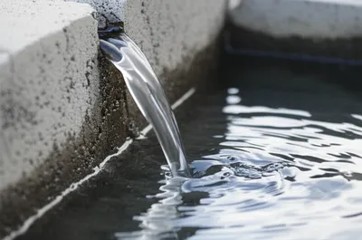 Illustration cap - Image 1